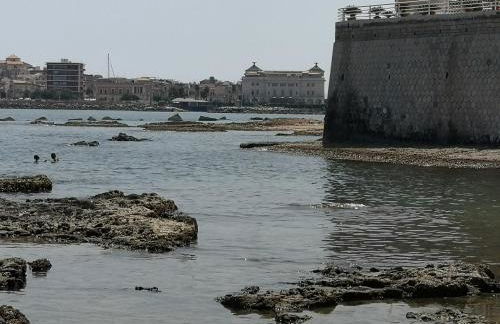 Alla Corte di Dionisio - Foto 58