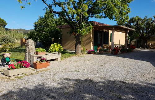 Agriturismo S. Agostino - Foto 11