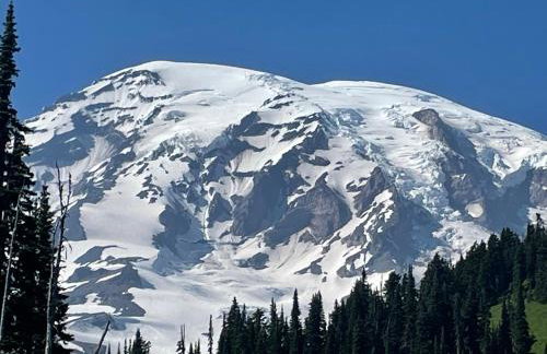 L'il Finch at Mount Rainier - Foto 17