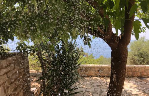 Boutique Family Villa - Foto 6