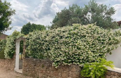 Villa charmante à Villecroze avec piscine privée - Foto 38