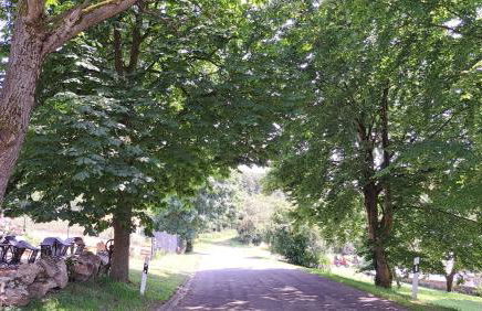 Haus Eselsblick - Foto 22