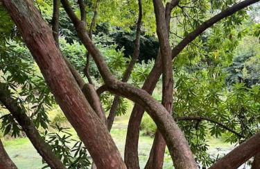 Bells Cottage - Explore Cornwall by rail - Foto 44