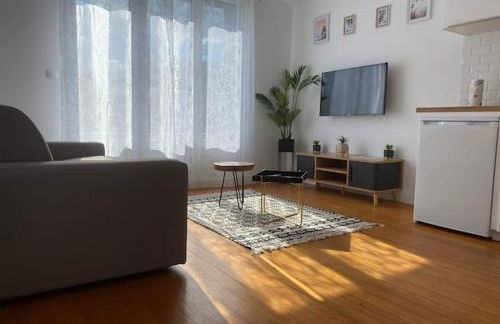 Le Stade Metz 1 Wifi Un Séjour à Part - Foto 56