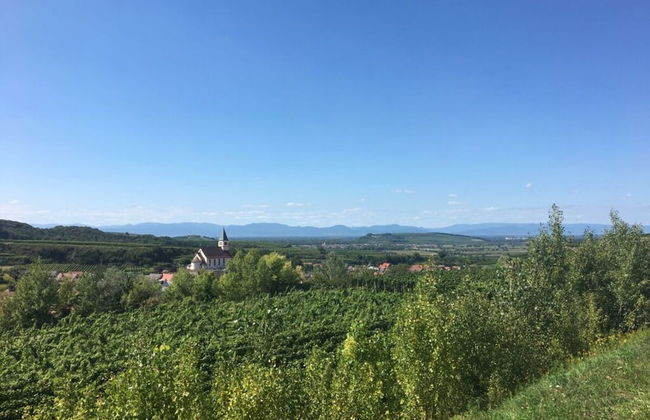 Savoir Vivre Modern Retreat - Foto 21