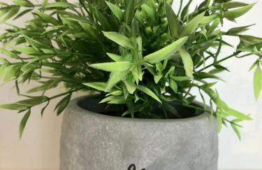 Modernes Zimmer mit Küchenzeile und Bad - Foto 9