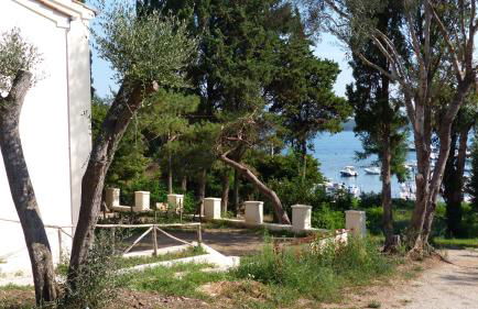 I Pesci nel golfo di Baratti - Foto 1