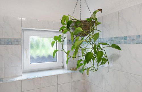 Ferienwohnung zur Schauinslandbahn - Foto 18