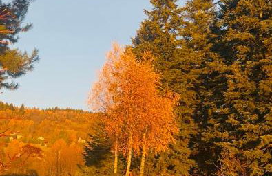 Apartament Buldog - Foto 8