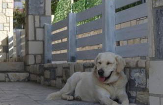 Aquarock villa with private pool - Foto 29