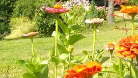 il Fienile di Penelope - Foto 2