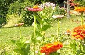 il Fienile di Penelope - Foto 2