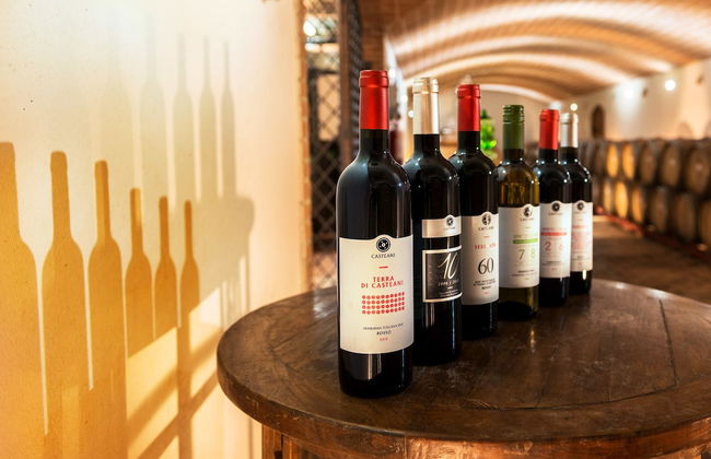 Tenuta Casteani - Foto 54