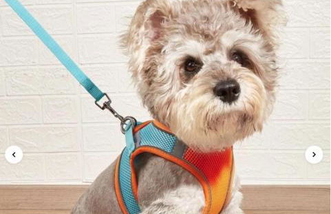 Kimberly Surprise - Foto 92