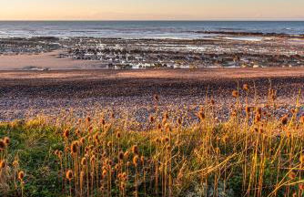 La maison de la mer - Foto 18