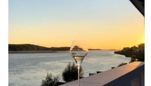 Les sternes de st Mathurin sur Loire , terrasse sur la Loire - Photo 3