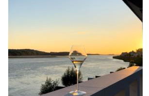 Les sternes de st Mathurin sur Loire , terrasse sur la Loire - Photo 3