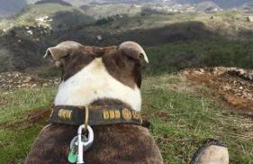 Casa Azul Mountain Retreat - Foto 18