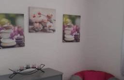 GITE LES MINOUX - Photo 10