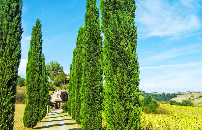 Podere Agnese - Foto 25