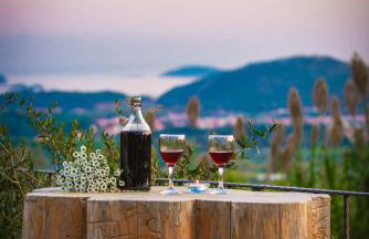 Rustic Stone Villa Begovi Dvori- 15 minutes to Dubrovnik - Foto 40