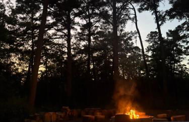 Cozy Cabin Escape - Foto 49