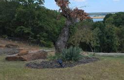 Twisted Tree with Arkansas River Views and Hot Tub - Foto 52