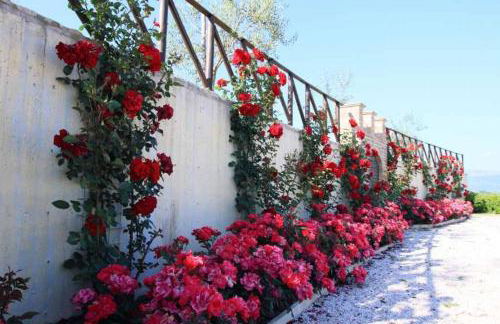 Agriturismo Colle Mura - Foto 22