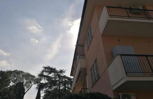 Pictadomus-viridis - Foto 25