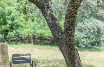 La Umbría de la Ribera - Foto 12