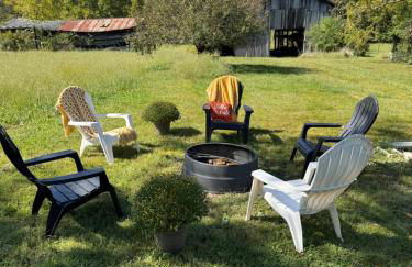 Charming Country Farmhouse Near Natural Bridge - Foto 46