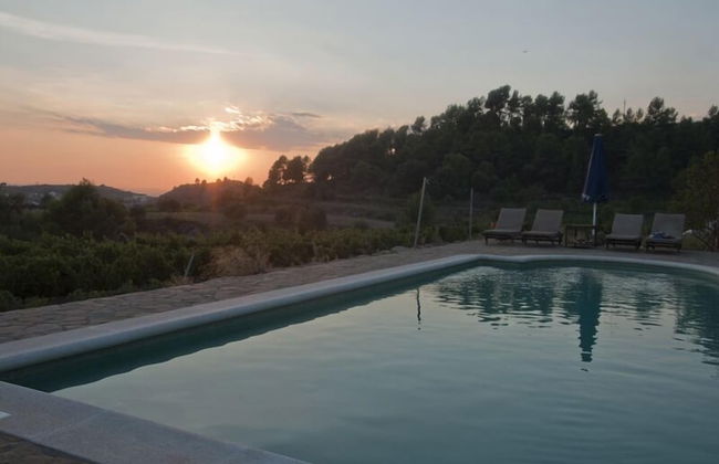 Celler Colltor - Photo 12