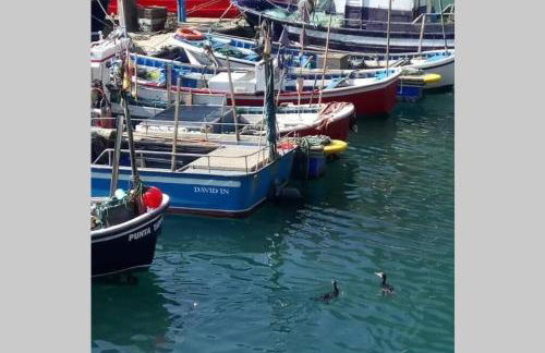 Pexe na mar - Foto 39