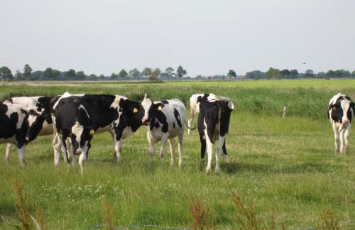 Hof Becker - Weidenblick - Photo 8