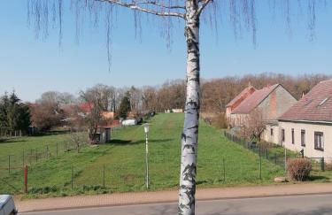 Ferienwohnung IV Sarrebriese - Foto 25