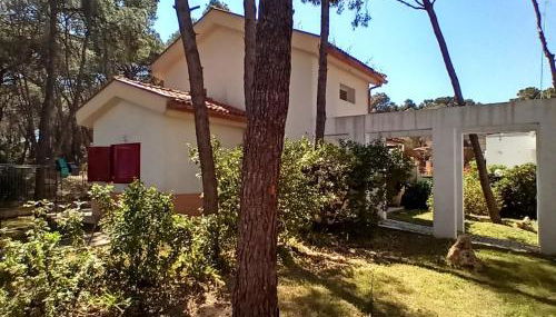 Villa immersa in pineta 100m dalla spiaggia - Foto 1