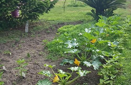 HAUT VILLA MESANGES EN BORD DE MER ! - Foto 76