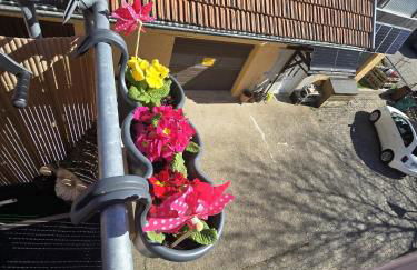 Ferienwohnung Ilkas Inn - Foto 30