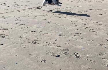 Ferienwohnung Treibholz - Foto 36