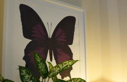 Spacious 2bed 2bath Earlsfield - Wimbledon Friendly - Foto 21