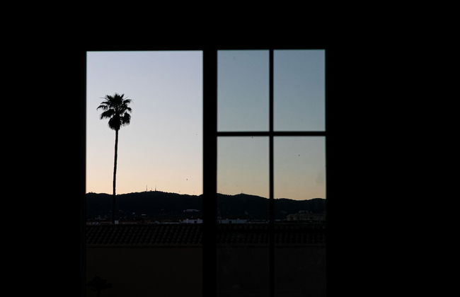 El Ático de la Palmera - Photo 16