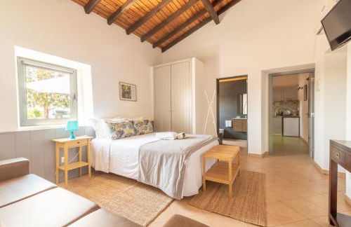 Fontes Bárbaras Enoturismo - Foto 40