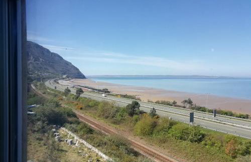 Llys Madoc, The Top Flat - Foto 18