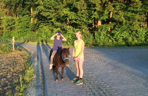 Ferienhof Hohe - Foto 46