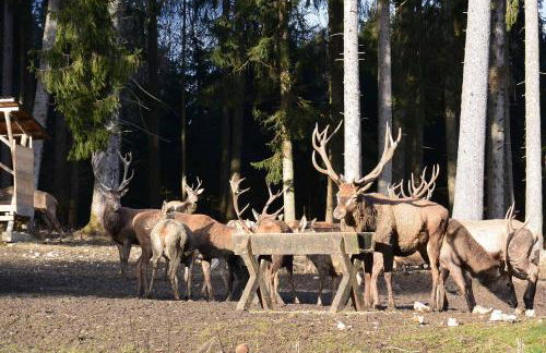 Veiter-Hof - Foto 74