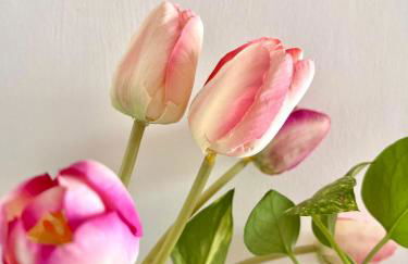 Casa vacanza Salento, Santa Maria al Bagno - Foto 20