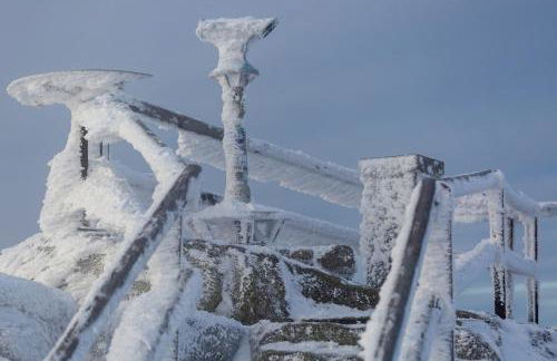 Ferienhaus im Bayerischen Wald - "Lindensalettl" mit Garten und Terrasse - Foto 48