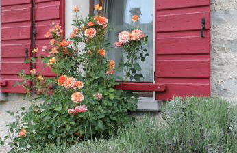 Fienile Chiaramada - Foto 17