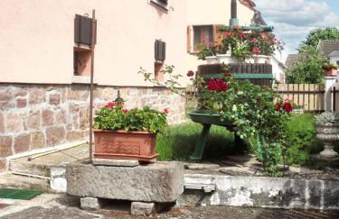 Appartement chaleureux à Kientzheim avec terrasse couverte - Foto 1