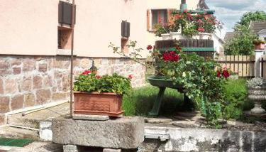 Appartement chaleureux à Kientzheim avec terrasse couverte - Foto 1, Garden